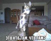  это кто там, что там?