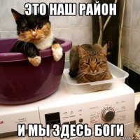 это наш район и мы здесь боги
