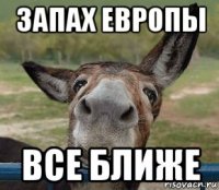 запах европы все ближе