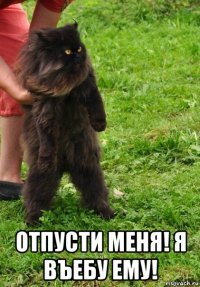  отпусти меня! я въебу ему!