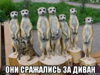  они сражались за диван