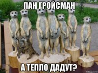 пан гройсман а тепло дадут?