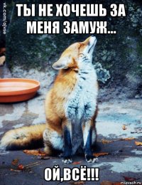 ты не хочешь за меня замуж... ой,всё!!!