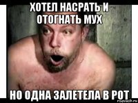 хотел насрать и отогнать мух но одна залетела в рот