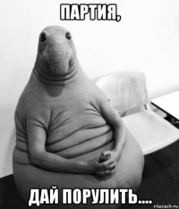 партия, дай порулить....