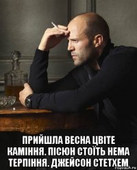  прийшла весна цвіте каміння. пісюн стоїть нема терпіння. джейсон стетхем