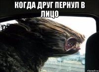 когда друг пернул в лицо 