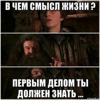 в чем смысл жизни ? первым делом ты должен знать ...