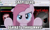 запрещено: обижать пинкамину!