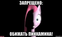запрещено: обижать пинкамина!