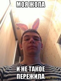 моя жопа и не такое пережила