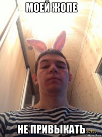 моей жопе не привыкать