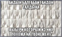 айдын балгабай гандон талдыка выбери который из них похожа на твою жену