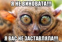 я не виновата!!! я вас не заставляла!!!