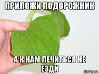 приложи подорожник а к нам лечиться не езди