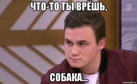 что-то ты врёшь, собака...