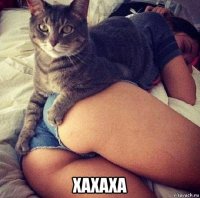  хахаха