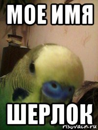 мое имя шерлок