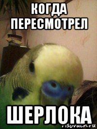 когда пересмотрел шерлока