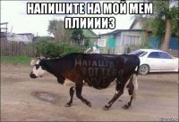 напишите на мой мем плииииз 