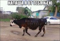 наташа я от тебя х*ею 