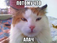 потому что апач