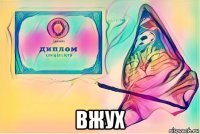  вжух