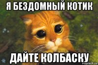 я бездомный котик дайте колбаску