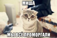 миша мы всё проморгали