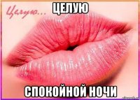целую спокойной ночи