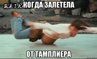 когда залетела от тамплиера