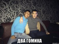  два гомика
