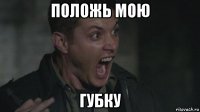 положь мою губку