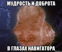 мудрость и доброта в глазах навигатора