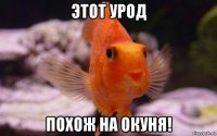 этот урод похож на окуня!