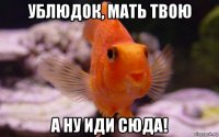ублюдок, мать твою а ну иди сюда!