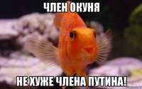 член окуня не хуже члена путина!