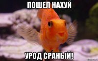 пошел нахуй урод сраный!