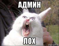 админ лох