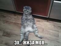  эх... жиза моя...