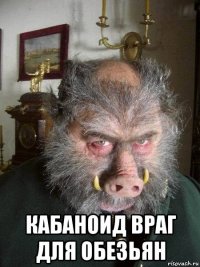  кабаноид враг для обезьян