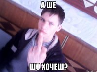 а ше шо хочеш?