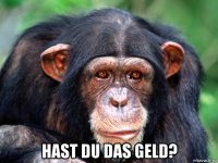 hast du das geld?