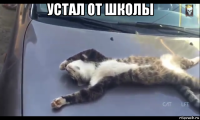 устал от школы 