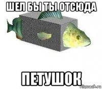 шел бы ты отсюда петушок