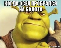когда осел пробрался на болото 