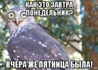 как это завтра понедельник? вчера же пятница была!