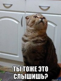  ты тоже это слышишь?