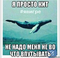я просто кит не надо меня не во что впутывать