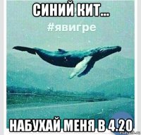 синий кит... набухай меня в 4.20